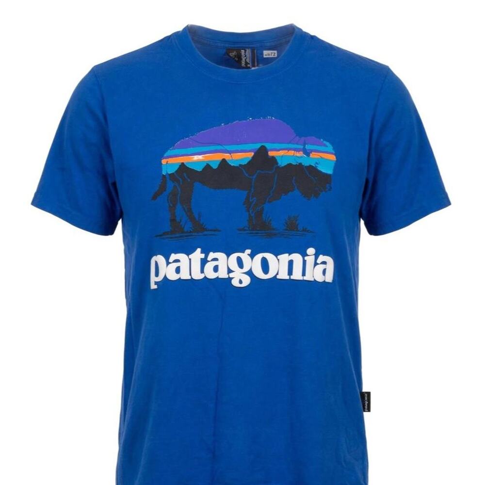 Patagonia blue bison tee with